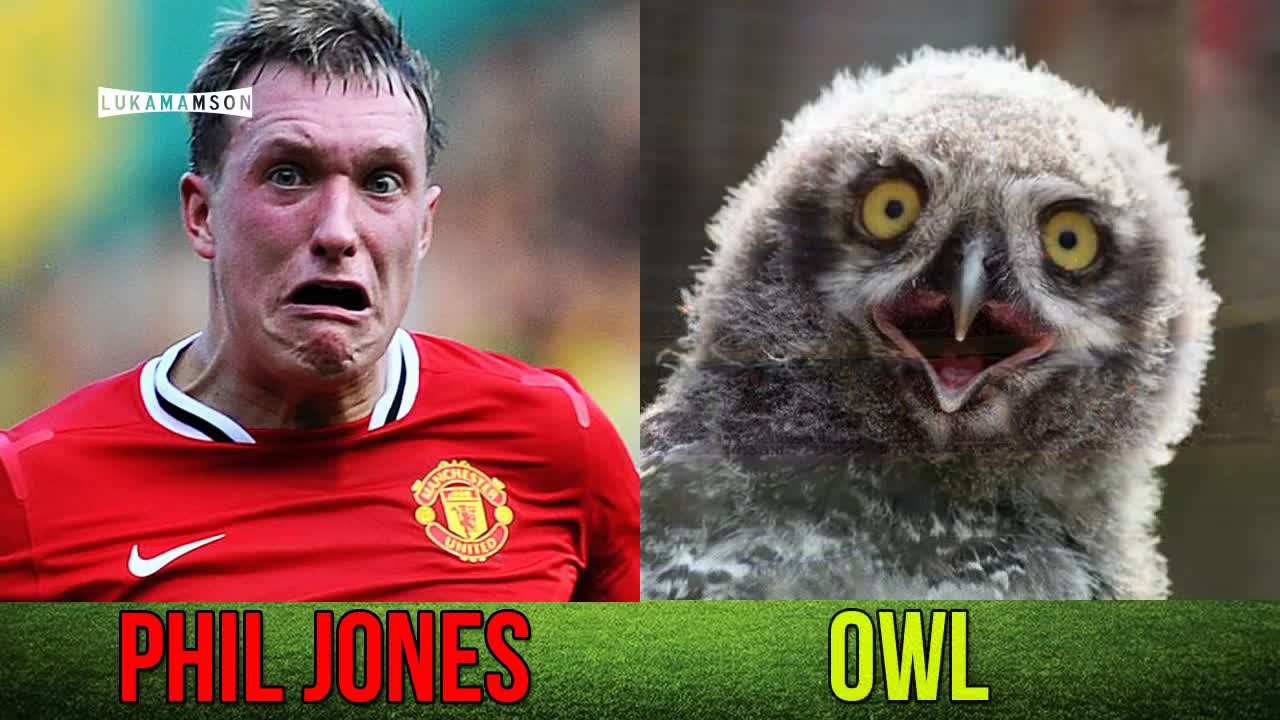 Football Players Who Look Like Animals ● ft. Ronaldo, Messi, Neymar, Ibrahimovic...