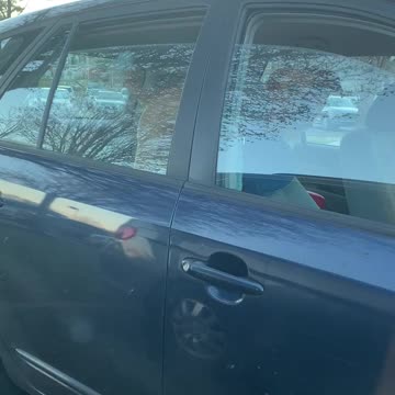 I got your back…dog protecting the car.