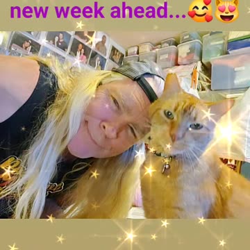 Happy Sunday! 🥰😻