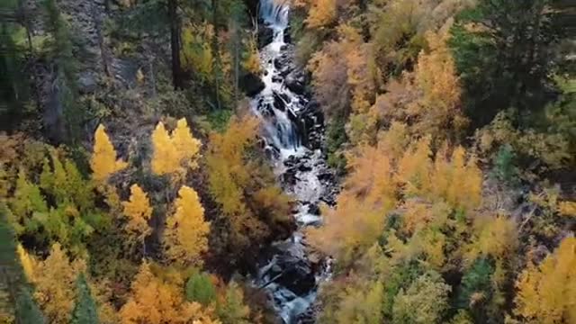 Top-5 Eastern Sierra fall color locations with easy access