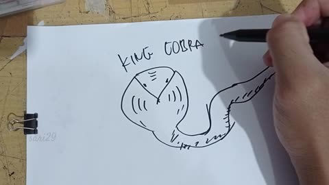 Drawing King Cobra