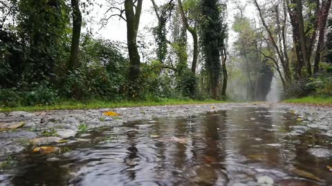 relaxing rain sounds