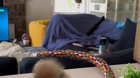 Funny video