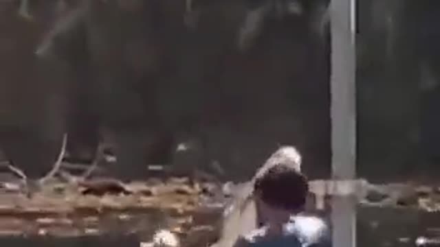 Dançando até com o jacaré kkkkk