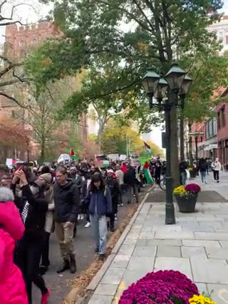 (sick) Yale Sucks... pro-Palestine rally at Yale University