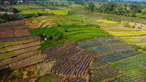 Agricolture in mountain