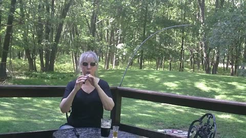 Irish Music in the Pocono Mountains June 7, 2024 - Anne Archer McMorrow -Whistle