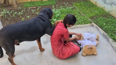 Anshu destroyed Jerry's favourite Teddy cute dog video