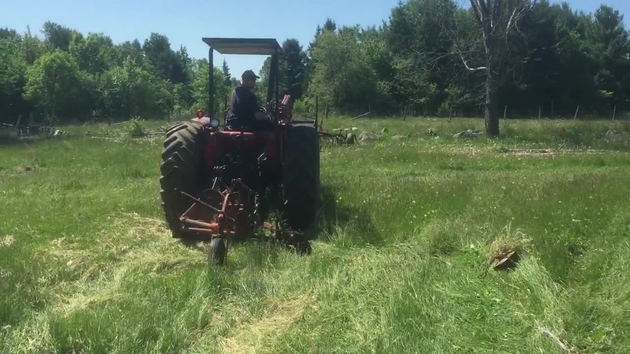 Old sickle mower