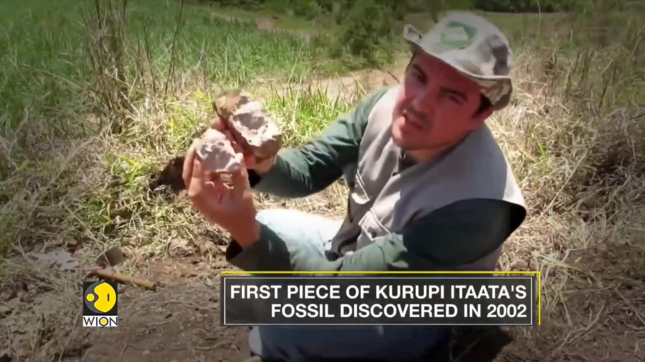 Kurupi Itaata- A New dinosaur species discovered in Brazil | WION English News