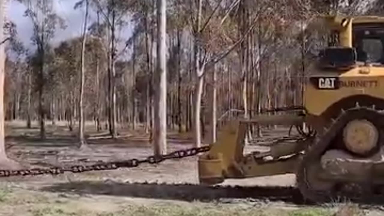 The Giant Chain And Bulldozer Destroy theForest🤣🤣🤣