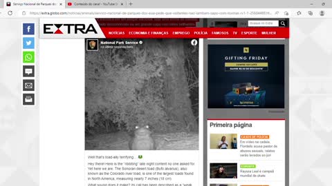 Serviço Nacional de Parques dos EUA pede que visitantes não lambam sapo com toxinas