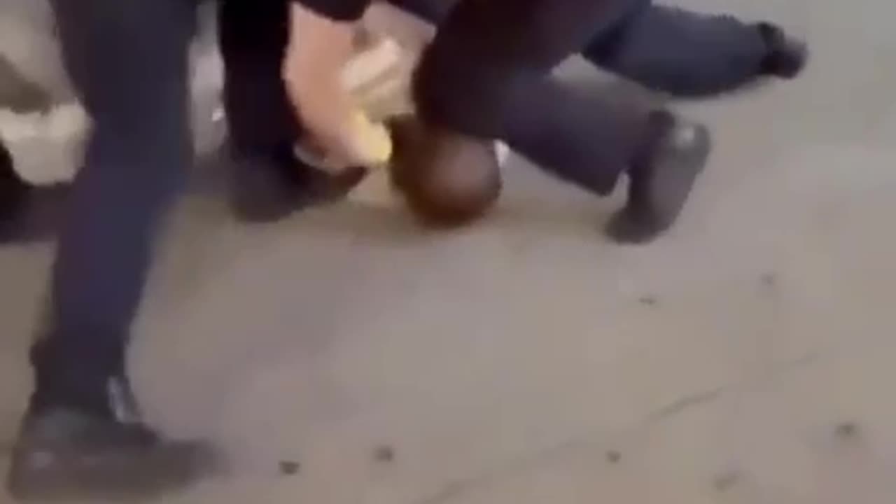 Bronx, new York city