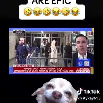 These Liberal meltdowns are epic