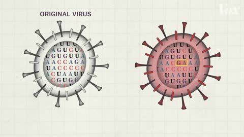 Why so many Covid-19 variants are showing up now