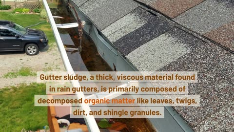 What is Gutter Sludge?