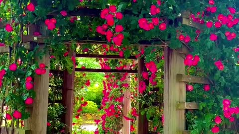 Beautiful scenery. Come and have a look