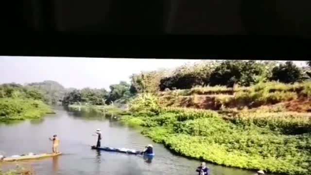 This is a beautiful and charming water-dwelling species