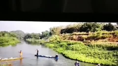 This is a beautiful and charming water-dwelling species