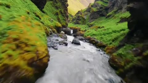 Nature