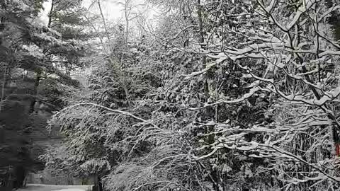 Vlog #2139 Jan. 25, 2023 - FINALLY! SNOW!!!