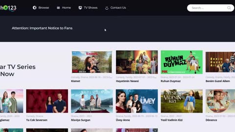 How to Watch Turkish Series in English, Spanish, German, Italian