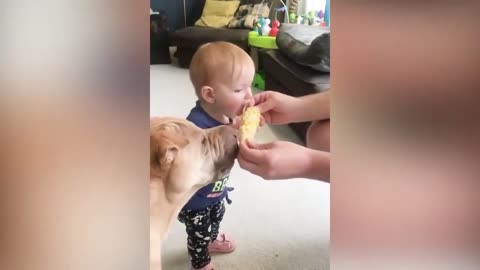 Kid and Dog Sharing Corn