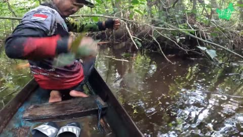 TENSUROUS SECONDS FACING THIS BIG KING FISH OF THE SWAMP..