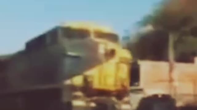 Animal accident by train