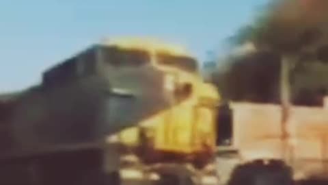 Animal accident by train