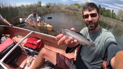 BEHEMOTH FISH in a TINY CREEK__! (INSANE)