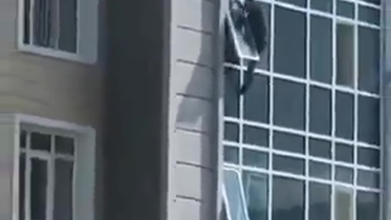 The man climbed out of his eighth floor apartment window to catch the helpless