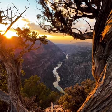 "Lost in the magic of a solo adventure in Dinosaur.