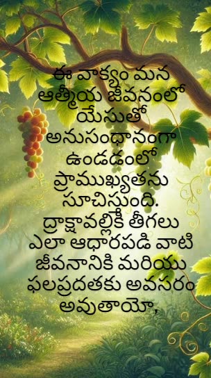 యోహాను 15:5 - ద్రాక్షావల్లిని నేను, తీగెలు మీరు. ఎవడు నాయందు నిలిచియుండునో నేను ఎవనియందు నిలిచి...