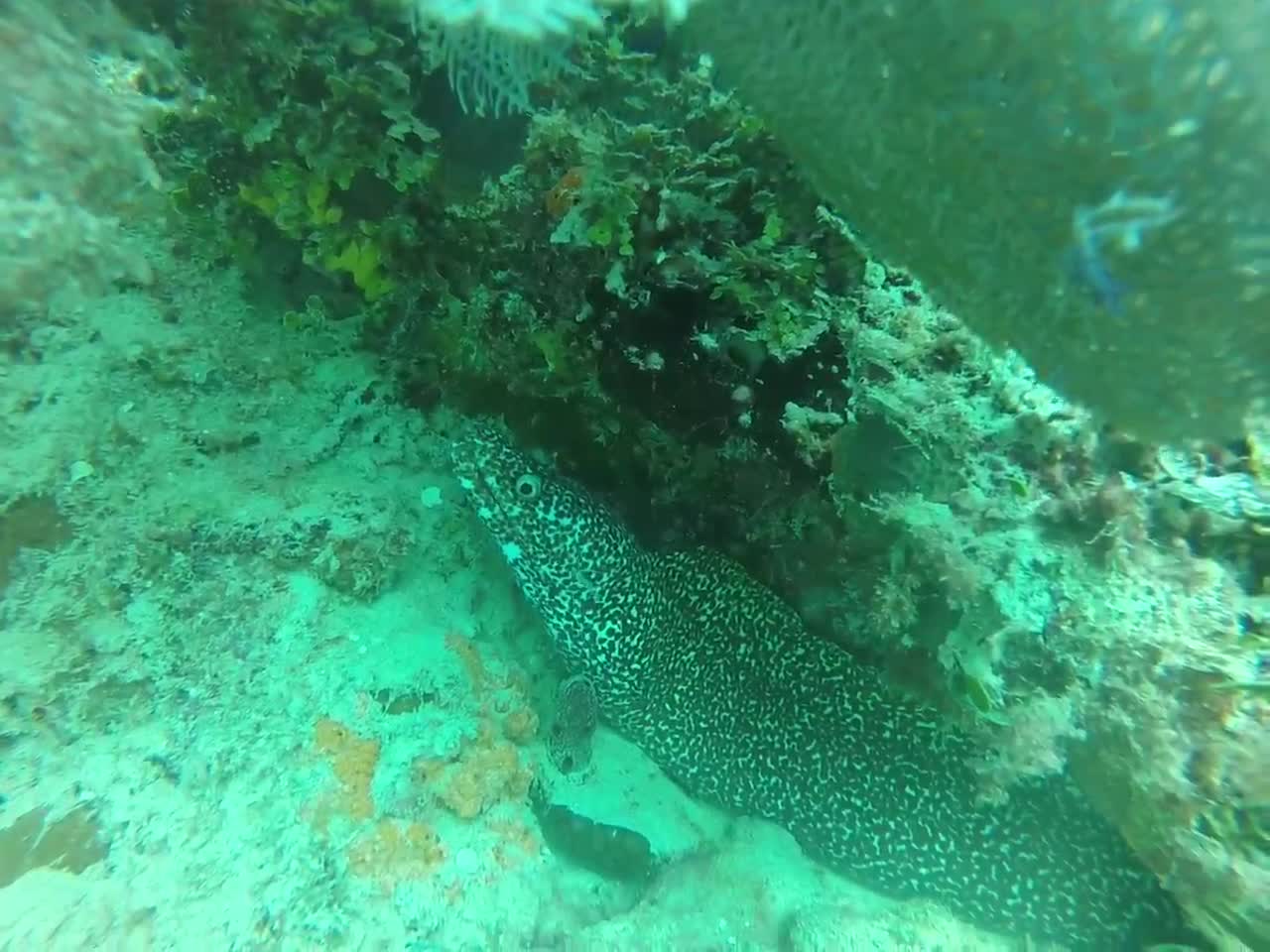 Mer des Caraïbes et ses fonds marins