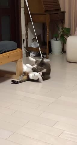 The struggles are real 🤣🤣🤣🤣