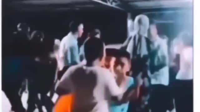 Funny videos