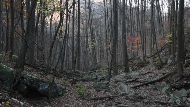 75_Nature Sounds Falls at Frozen Head State Park