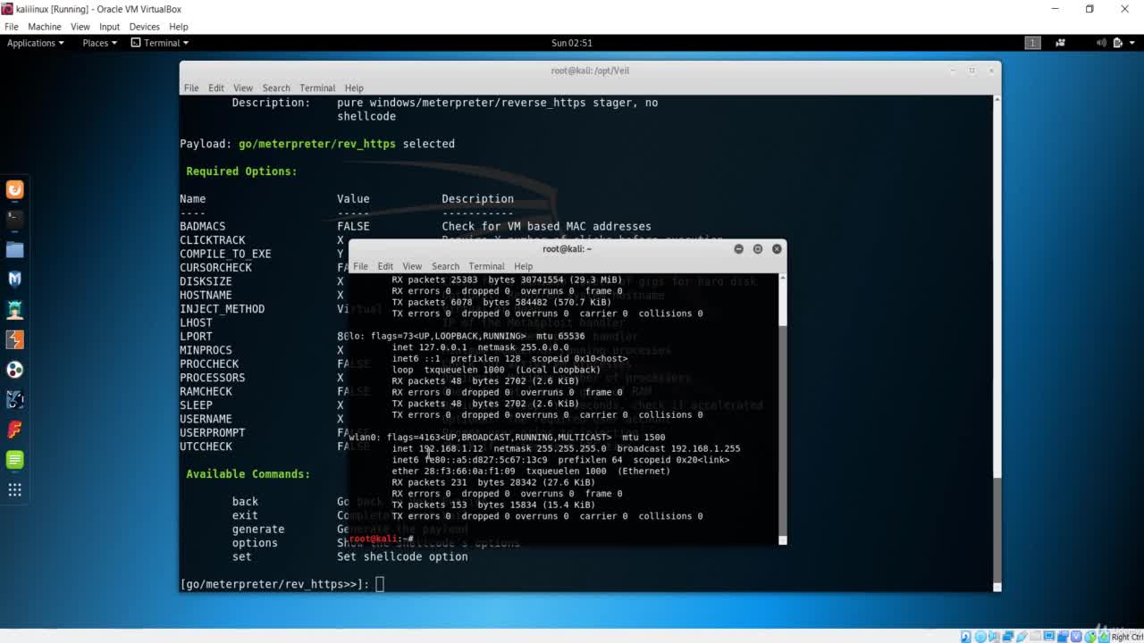 Hacking with Kali Linux 17/22
