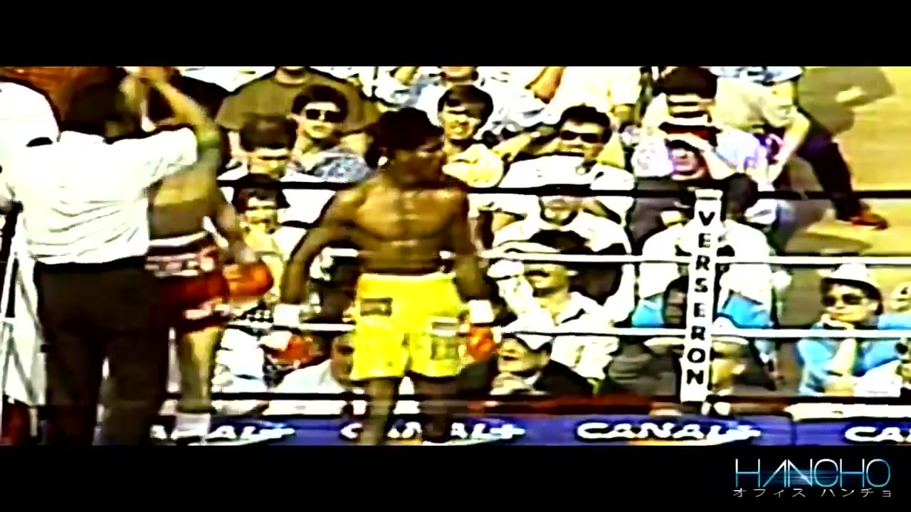 Julio cezar chavez fights compilation