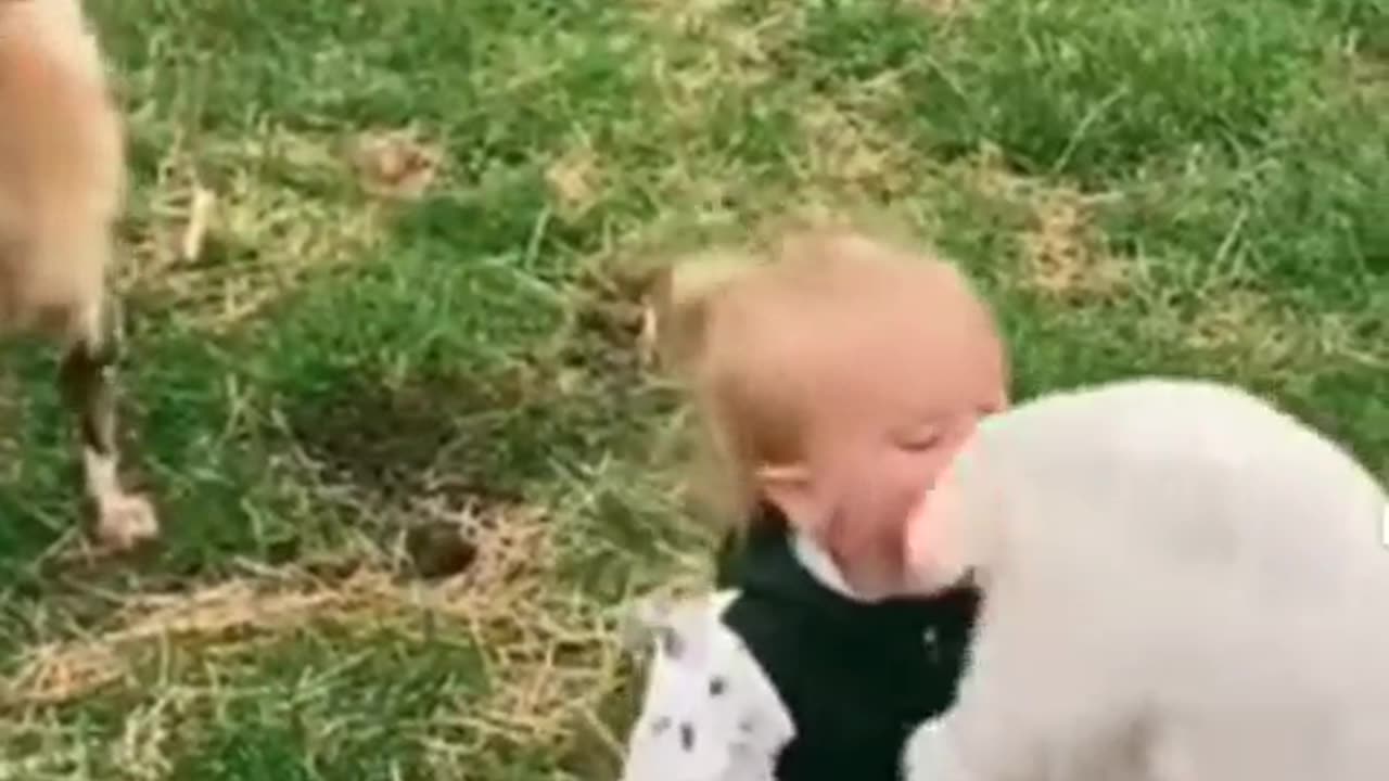 Funny video