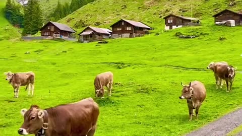 Switzerland