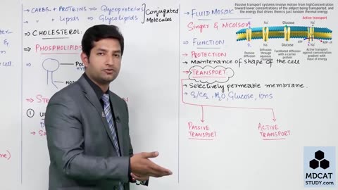 LEC#5 CELL MEMBRANE