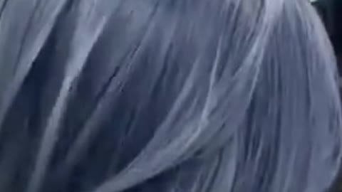 Satisfying Hair Color Transformation Video Part #01