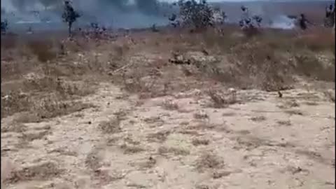Helicóptero da Marinha cai em Goiás e deixa dois mortos