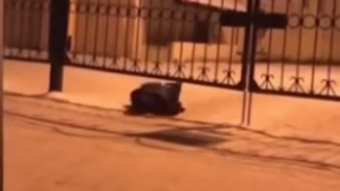 Respect - The end is fire 🔥🥵 What is your Favourite Clip 😳😍(1)