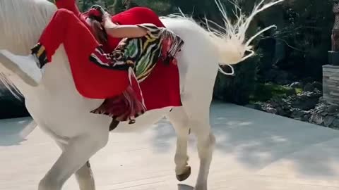 Birinchi martta buni harakat qilaman 😅🐎