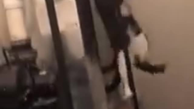 FUNNY ANIMAL VIDEO I Found ON INSTAGRAM AND TIKTOK ♩ 🎵 🎺