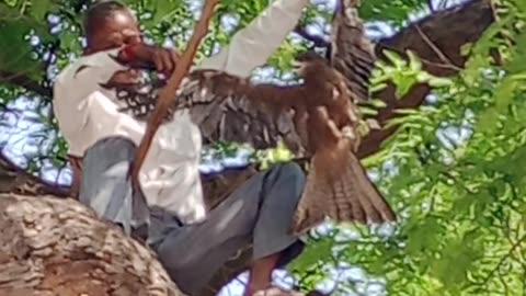 Man save eagle 🦅