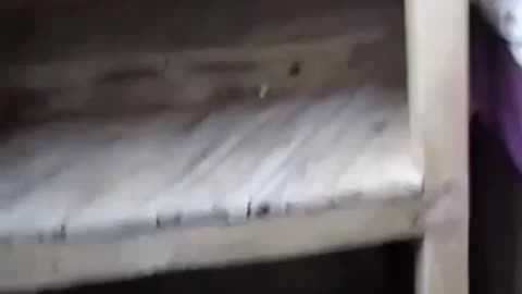 Ukrainian Bunker with Electricity and More